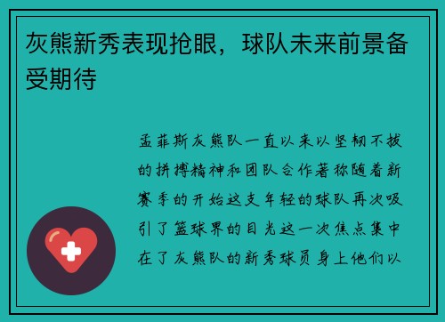 灰熊新秀表现抢眼，球队未来前景备受期待
