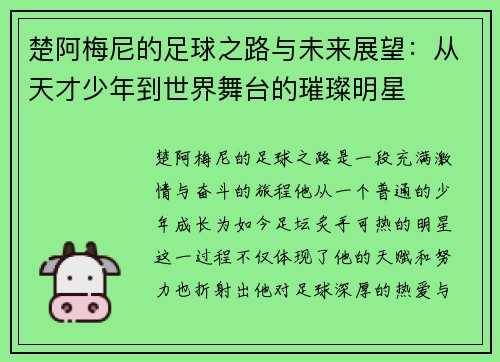 楚阿梅尼的足球之路与未来展望：从天才少年到世界舞台的璀璨明星