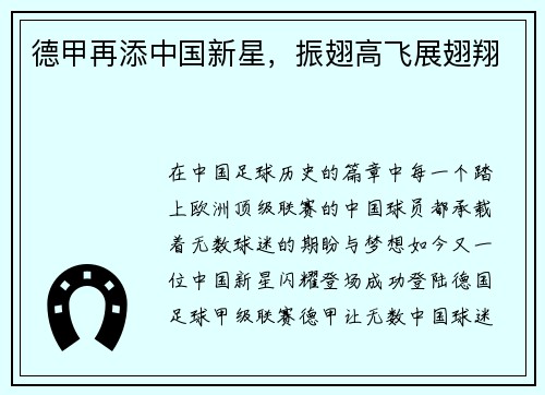 德甲再添中国新星，振翅高飞展翅翔